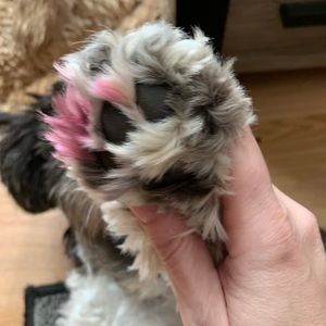 Meet your Posher, Andrea